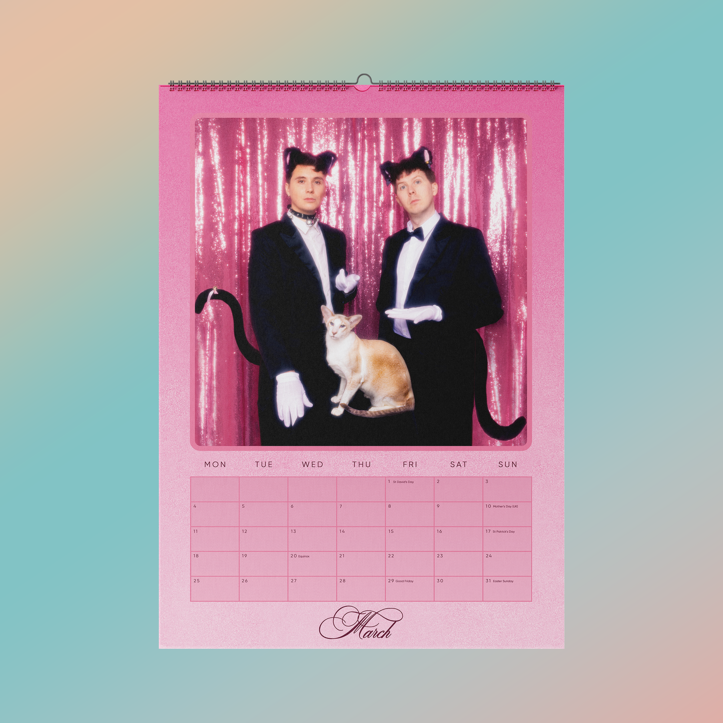 Dan and Phil and Cats 2024 Calendar Dan & Phil Shop (U.S.)
